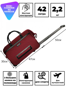 230 БОРДО СУМКА НА КОЛЕСАХ: 225x300