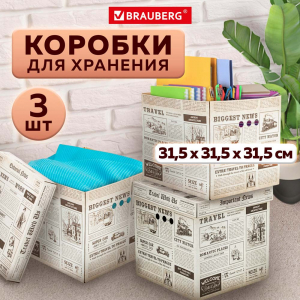 271818 КОРОБ ДЛЯ ХРАНЕНИЯ 3ШТ: 300x300